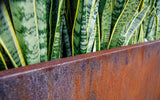 Corten Steel Edge Planters