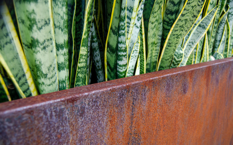 Corten Steel Edge Planters