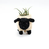 Baby Sheep Coco Fiber Planter - Henderson Garden Supply