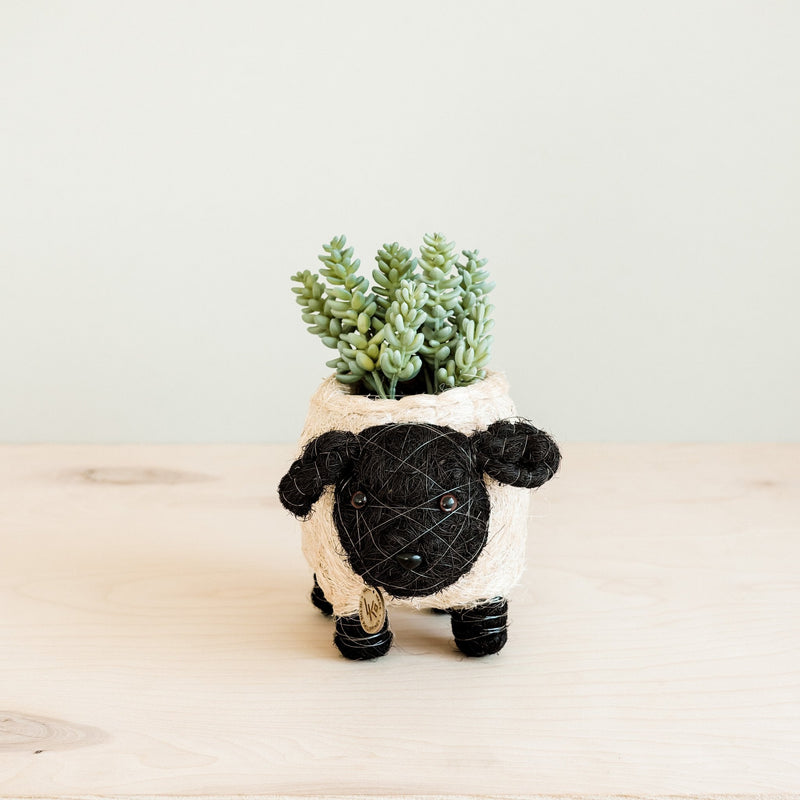 Baby Sheep Coco Fiber Planter - Henderson Garden Supply