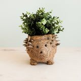 Hedgehog coco fiber basket planter - Henderson Garden Supply