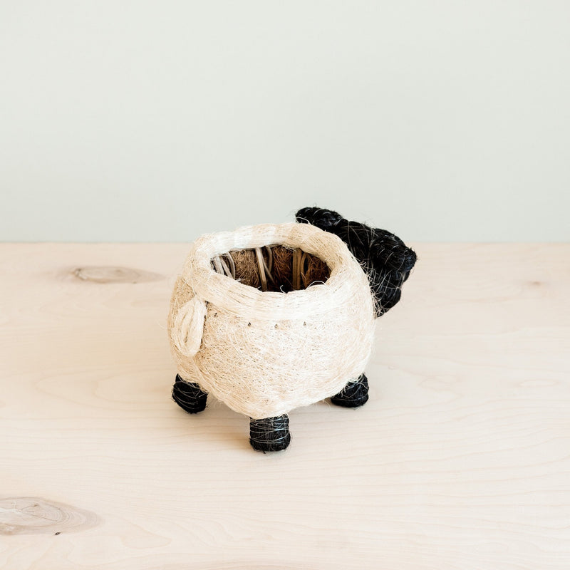 Sheep coco fiber planter pot - Henderson Garden Supply