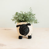 Sheep coco fiber planter pot - Henderson Garden Supply