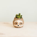 Two-tone Sloth Coco Coir Planter - Handmade Planters