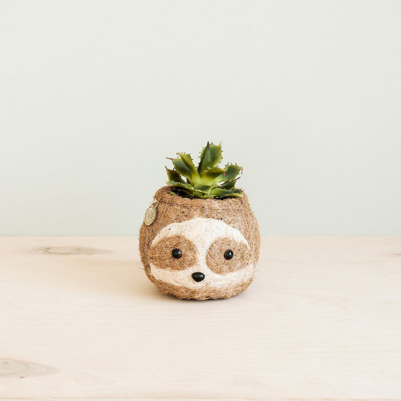 Two-tone Sloth Coco Coir Planter - Handmade Planters