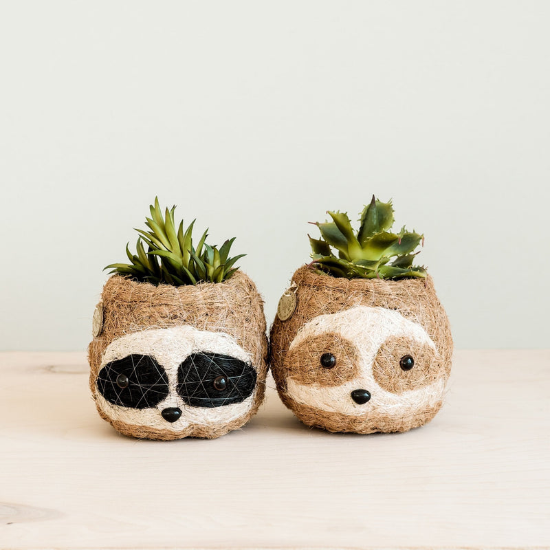 Two-tone Sloth Coco Coir Planter - Handmade Planters