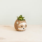 Two-tone Sloth Coco Coir Planter - Handmade Planters