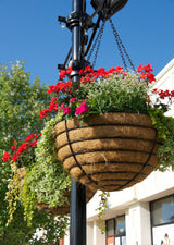 Euro Classic Hanging Basket and Liner Set - Set of 2 Baskets and Liners - Henderson Supply